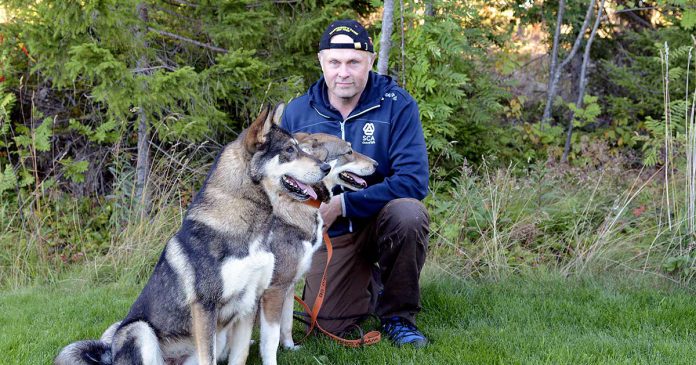 Ostsibirisk-laika Lennart Magnusson, Östsibirisk laika