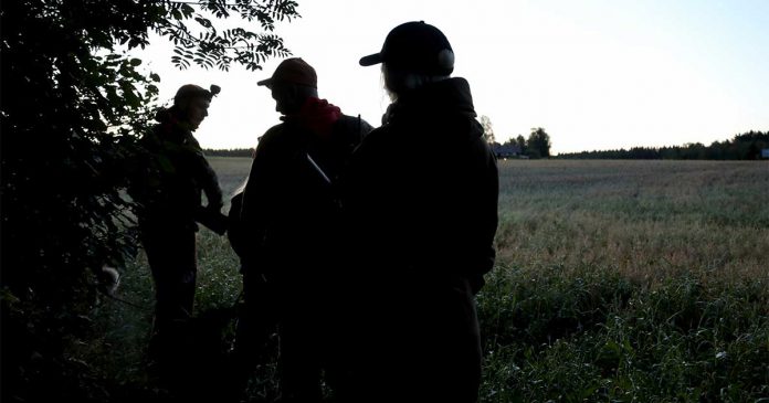 bjornjakt3 björn björnjakt ockelbo Petter Arkesjö