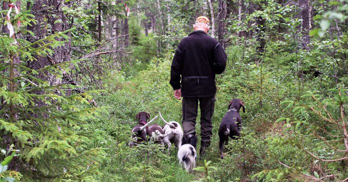 Hundskolan-Planera-jaktaret Träna jakthunden