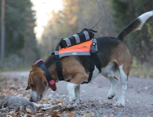 Ryggsmärtor – Svåra att upptäcka och kan bero på olika faktorer