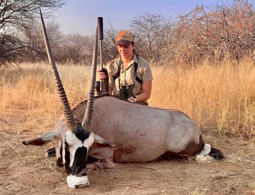 Oryx i Namibia – Jakten på min favoritantilop