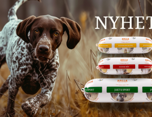 Halla Petfood släpper våtfoder för jakthundar