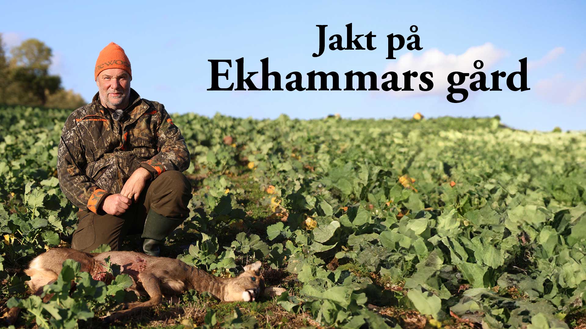 Jakt på Ekhammars gård