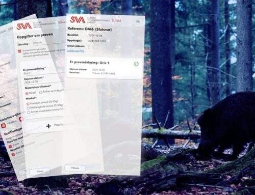 Ny app förenklar trikinanalyser för jägare