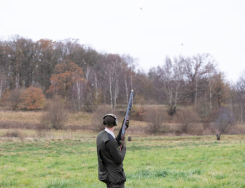 EU:s blyförbud i våtmarker – detta gäller för jägare och skyttar