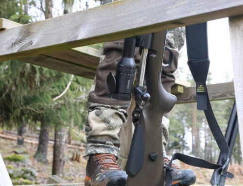 Het debatt om ny vapenlag – oenighet om AR-vapen och licenskrav