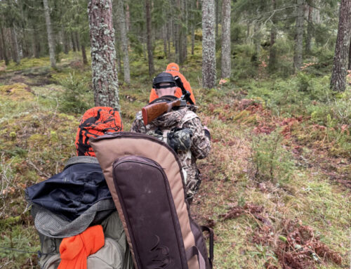 Drevjakt i hjärtat av Västergötland