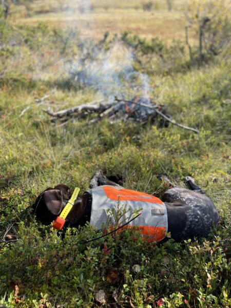 Brita tar en välförtjänt paus efter alla intryck.