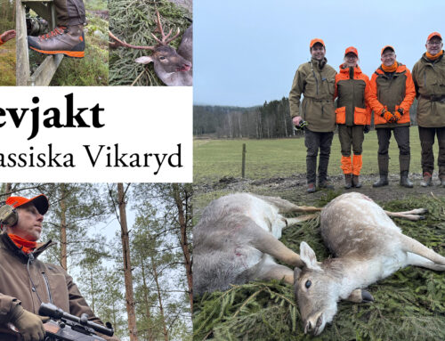 Film: Drevjakt i hjärtat av Västergötland