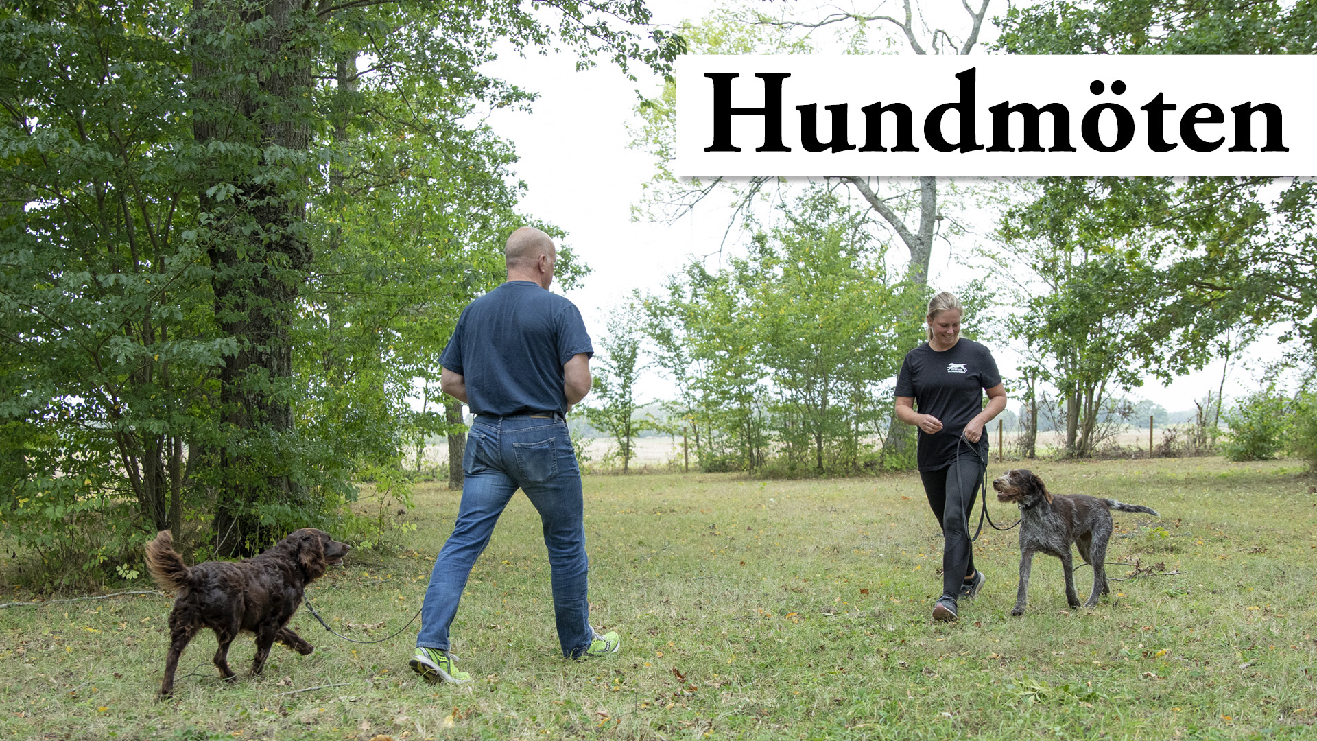 Tumnagel bild på två hundägare som går mot varandra mot ett hundmöte