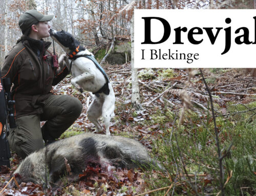 Film: Drevjakt – i Blekinge