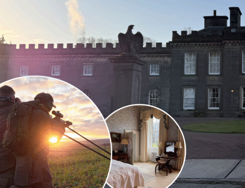 Rådjursjakt i Skottland – En slottsmorgon och drömjakt!