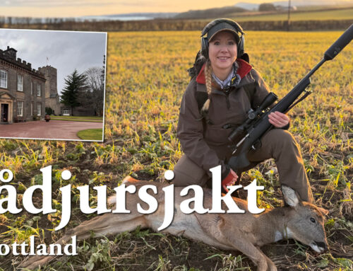 Film: Rådjursjakt – I Skottland
