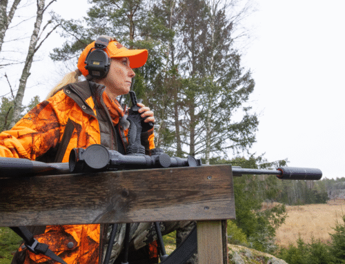 Drevjakt – på viltrika Björksund