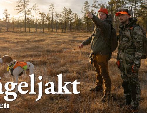 Film: Fågeljakt i Sälen