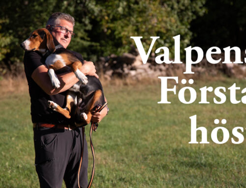 Film: Valpens första höst
