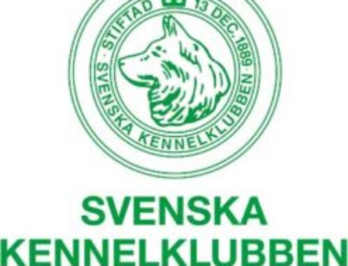 Stövarjägare ny ordförande i Svenska Kennelklubben