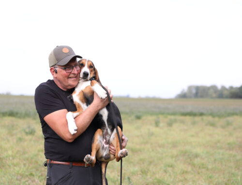 Belöning – vägen till en samarbetsvillig jakthund!
