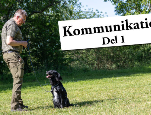 Film: Kommunikation – Del 1
