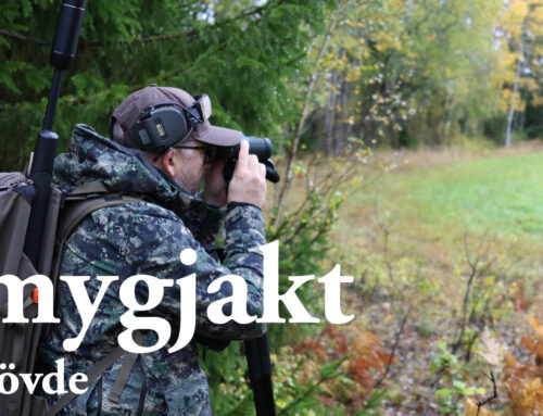 Film: Smygjakt i Skövde