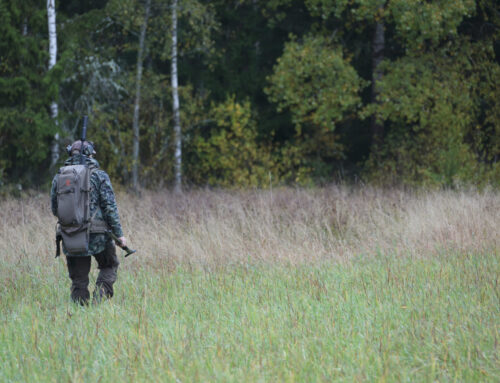 Jaktlycka i kvällssolen – upplevelser och gemenskap