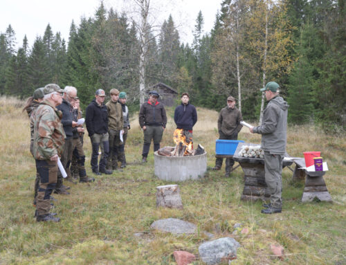 Elever på jakt – I Älvdalens skolas framtidens jägare