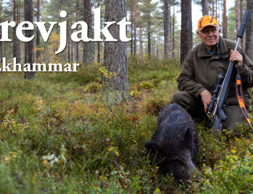 Film: Drevjakt på Ekhammar