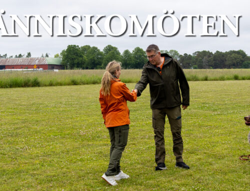 Film: Hundskolan – Människomöten