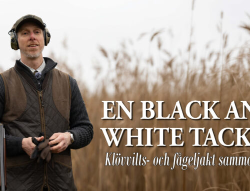 En black and white tack! – Klövvilts- och fågeljakt samma dag